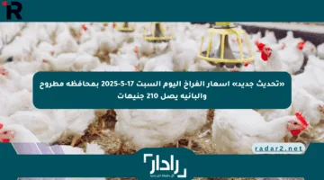 «تحديث جديد» أسعار الفراخ اليوم السبت 17-5-2025 بمحافظة مطروح والبانيه يصل 210 جنيهات